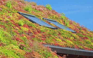Combe Down living roof systems